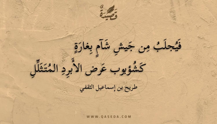 قصيدة فيجلب من جيش شآم بغارة