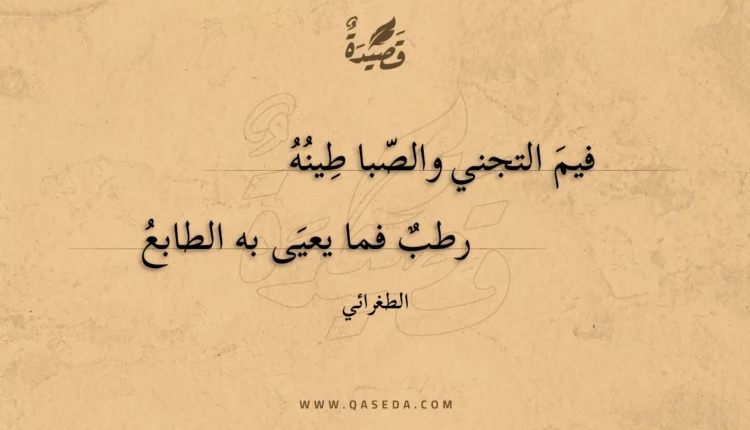 قصيدة فيم التجني والصبا طينه