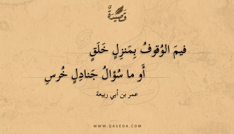 قصيدة فيم الوقوف بمنزل خلق