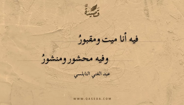 قصيدة فيه أنا ميت ومقبور