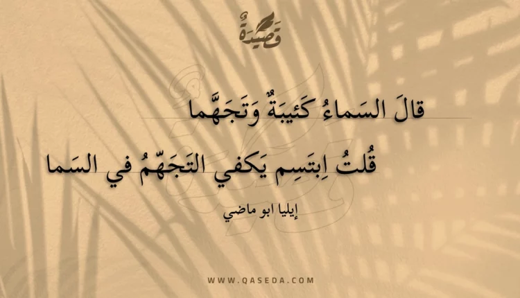 قصيدة قال السماء كئيبة وتجهما