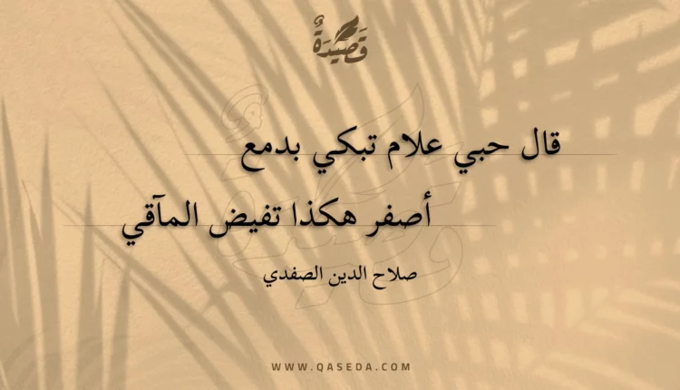 قصيدة قال حبي علام تبكي بدمع