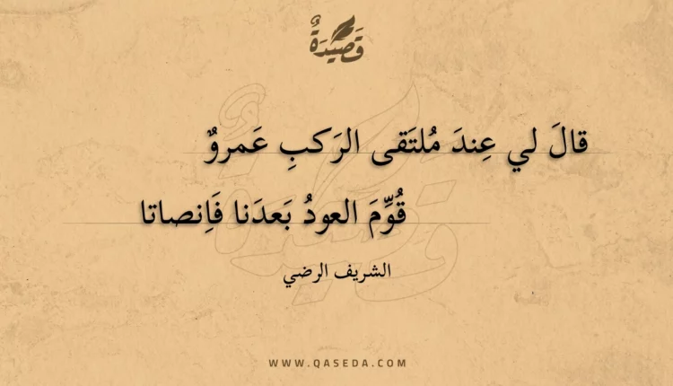 قصيدة قال لي عند ملتقى الركب عمرو