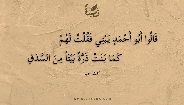 قصيدة قالوا أبو أحمد يبني فقلت لهم