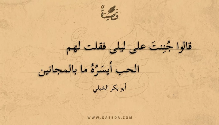 قصيدة قالوا جننت على ليلى فقلت لهم