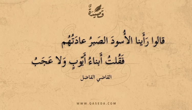 قصيدة قالوا رأينا الأسود الصبر عادتهم