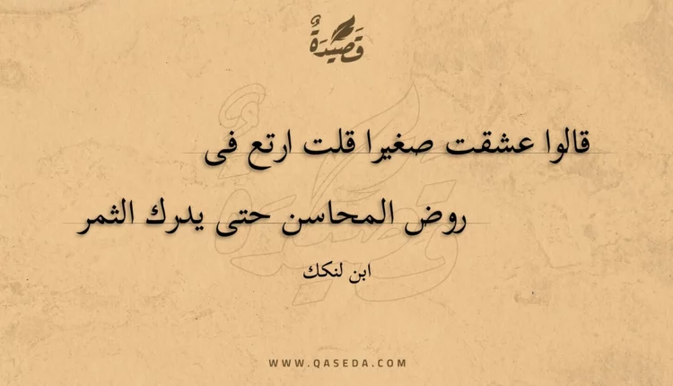 قصيدة قالوا عشقت صغيرا قلت ارتع فى
