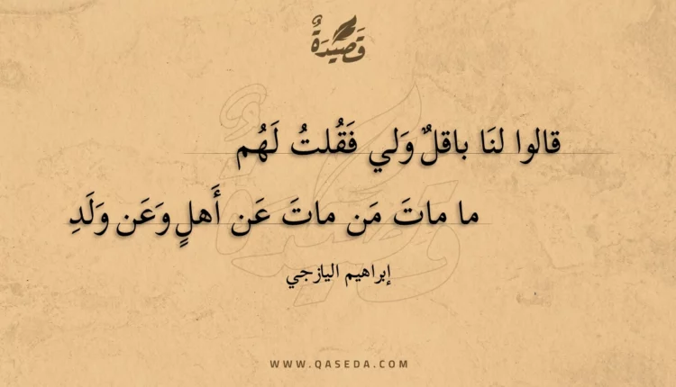 قصيدة قالوا لنا باقل ولي فقلت لهم