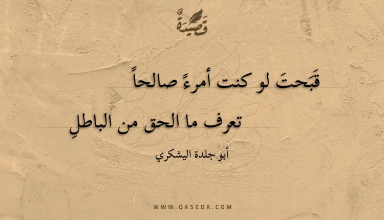 قصيدة قبحت لو كنت أمرء صالحا
