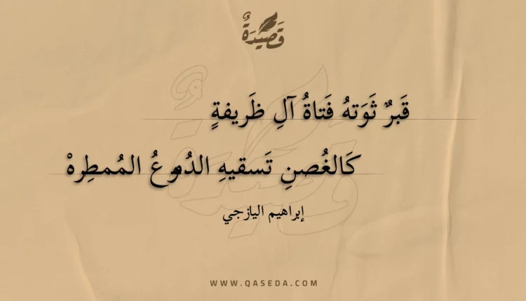 قصيدة قبر ثوته فتاة آل ظريفة