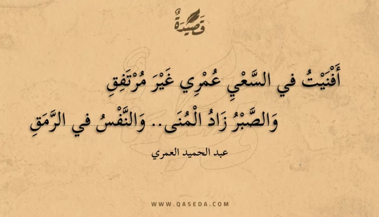 قصيدة قبس من نور وهدى