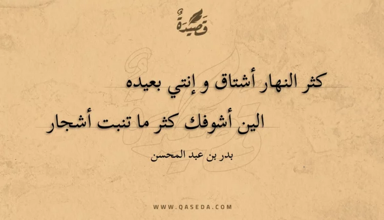قصيدة قبل الورق وبعد الورق