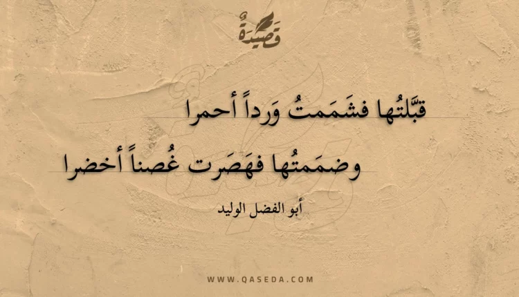 قصيدة قبلتها فشممت وردا أحمرا