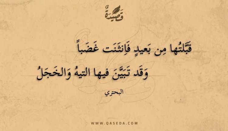 قصيدة قبلتها من بعيد فانثنت غضبا