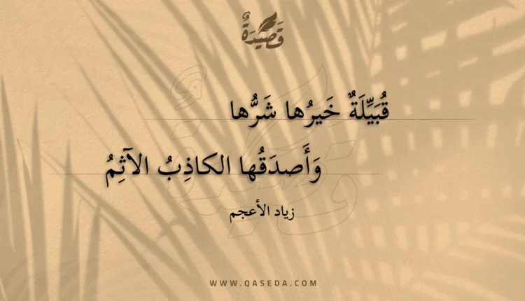 قصيدة قبيلة خيرها شرها