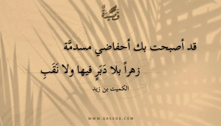 قصيدة قد أصبحت بك أحفاضي مسدمة