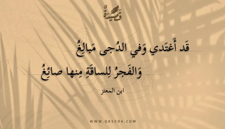 قصيدة قد أغتدي وفي الدجى مبالغ