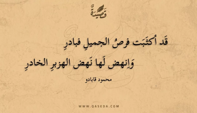 قصيدة قد أكثبت فرص الجميل فبادر
