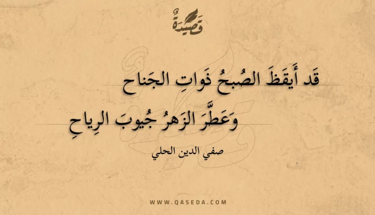 قصيدة قد أيقظ الصبح ذوات الجناح