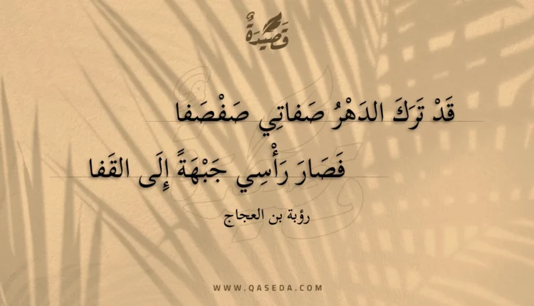 قصيدة قد ترك الدهر صفاتي صفصفا