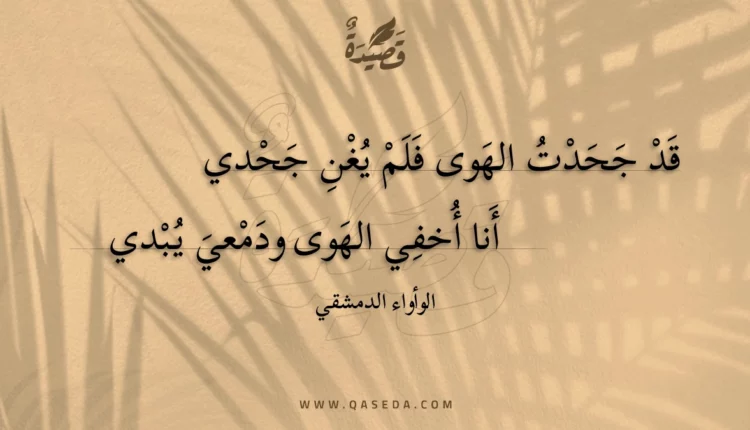 قصيدة قد جحدت الهوى فلم يغن جحدي