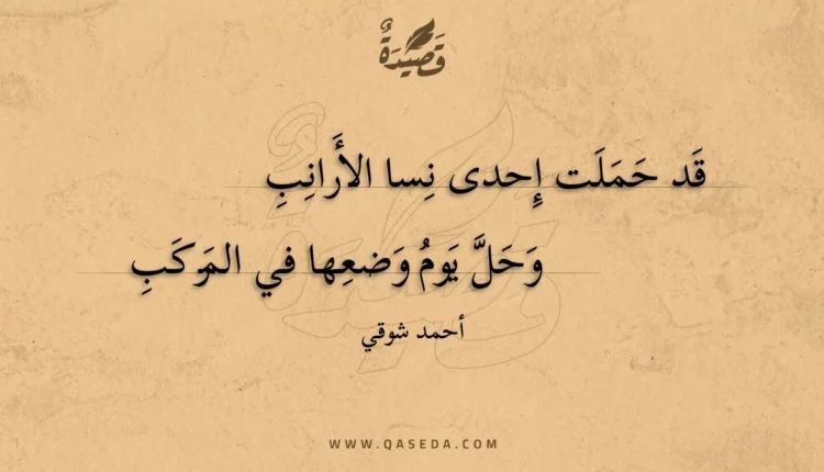 قصيدة قد حملت إحدى نسا الأرانب