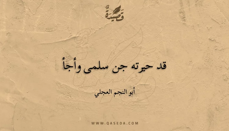 قصيدة قد حيرته جن سلمى وأجأ
