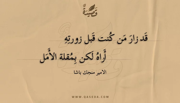 قصيدة قد زار من كنت قبل زورته