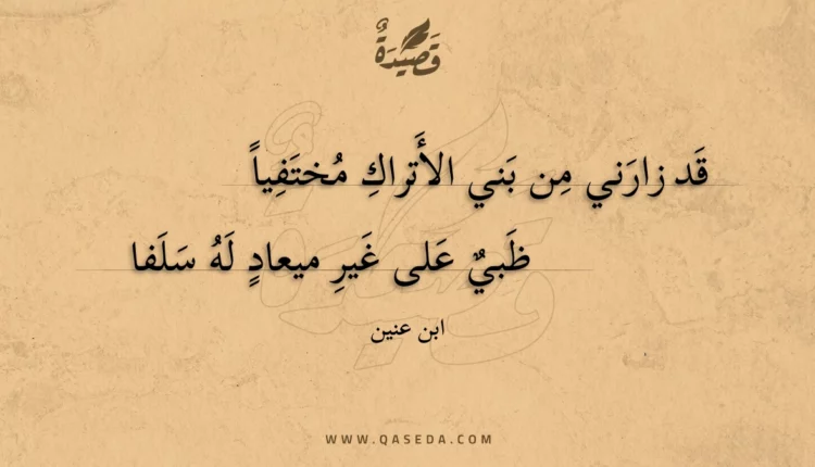 قصيدة قد زارني من بني الأتراك مختفياً