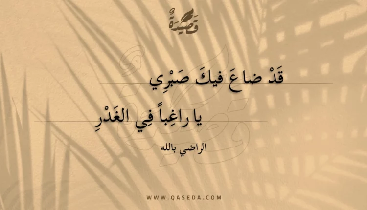 قصيدة قد ضاع فيك صبري