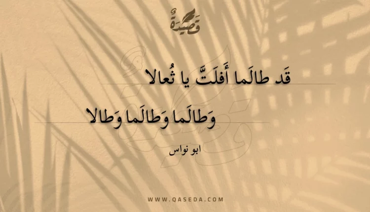 قصيدة قد طالما أفلت يا ثعالا