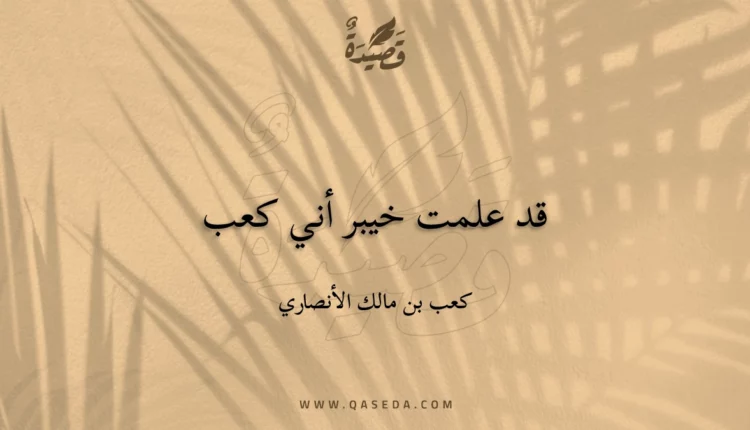 قصيدة قد علمت خيبر أني كعب