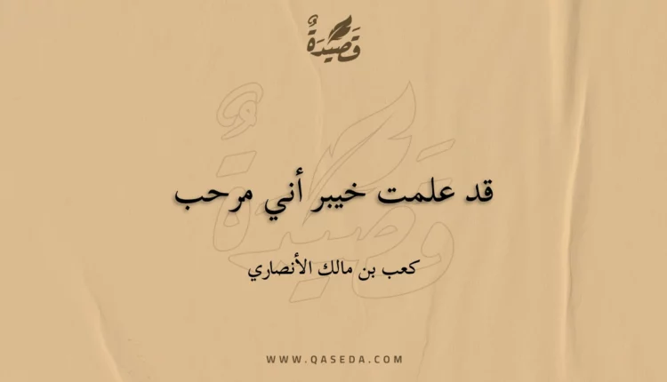 قصيدة قد علمت خيبر أني مرحب