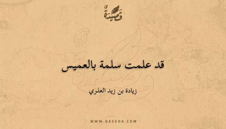 قصيدة قد علمت سلمة بالعميس