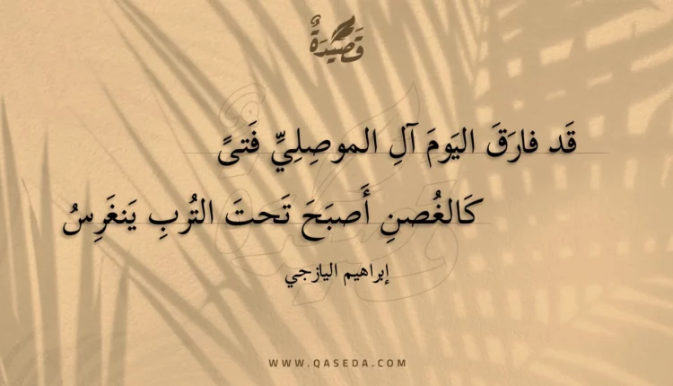 قصيدة قد فارق اليوم آل الموصلي فتى