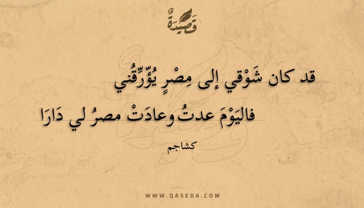قصيدة قد كان شوقي إلى مصر يؤرقني