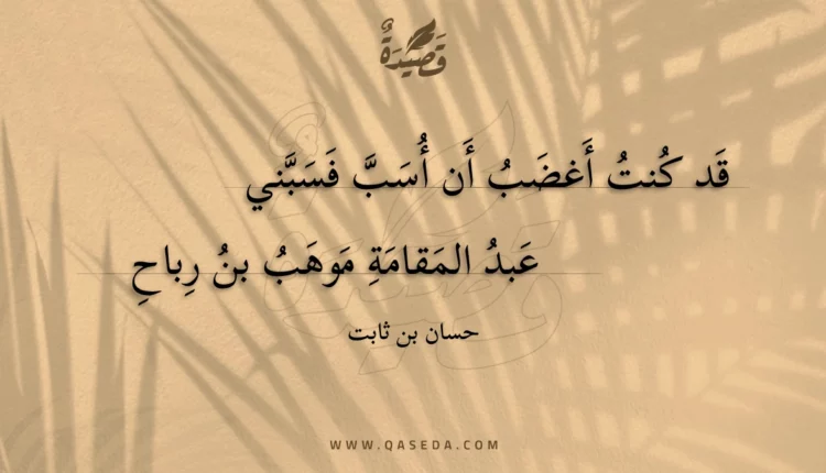 قصيدة قد كنت أغضب أن أسب فسبني