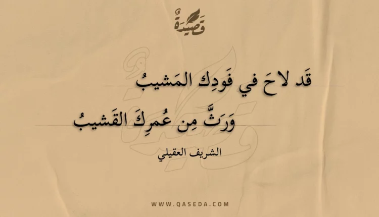 قصيدة قد لاح في فودك المشيب