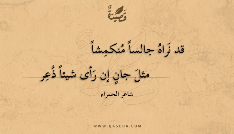 قصيدة قد نراه جالسا منكمشا
