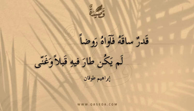 قصيدة قدر ساقه فآواه روضا