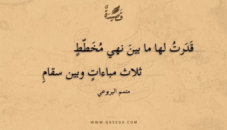 قصيدة قدرت لها ما بين نهي مخطط