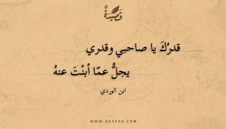 قصيدة قدرك يا صاحبي وقدري