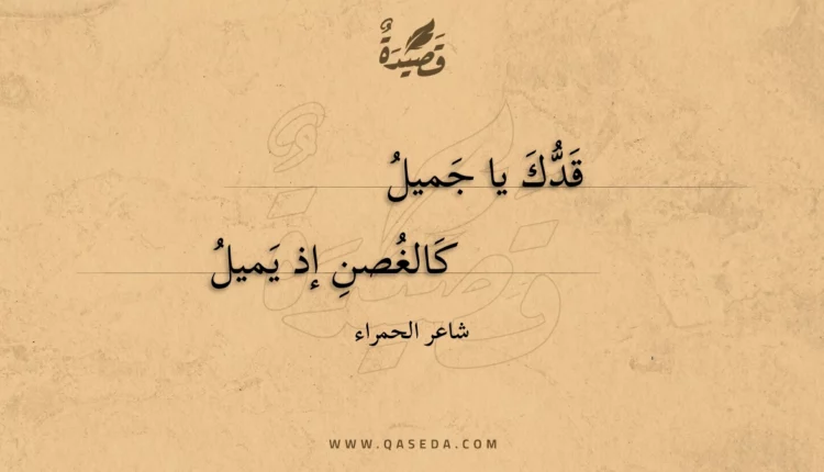 قصيدة قدك يا جميل