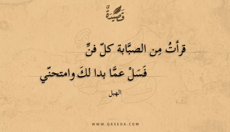 قصيدة قرأت من الصبابة كل فن