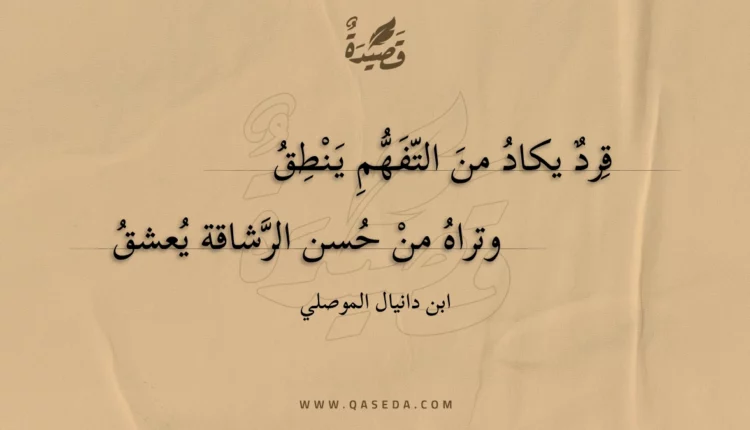 قصيدة قرد يكاد من التفهم ينطق