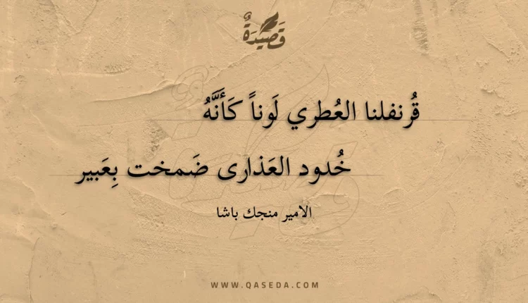 قصيدة قرنفلنا العطري لونا كأنه