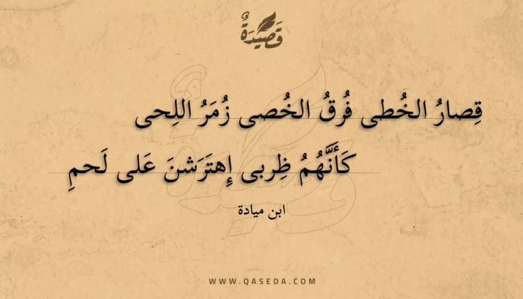 قصيدة قصار الخطى فرق الخصى زمر اللحى