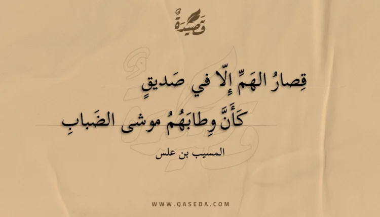 قصيدة قصار الهم إلا في صديق