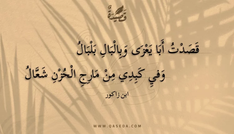قصيدة قصدت أبا يعزى وبالبال بلبال