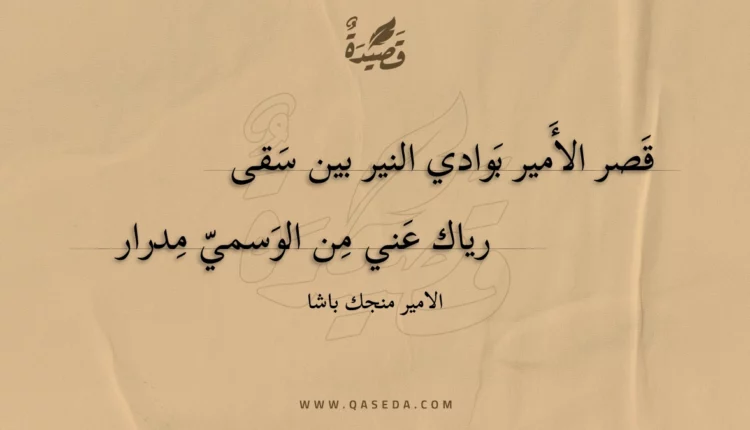 قصيدة قصر الأمير بوادي النير بين سقى